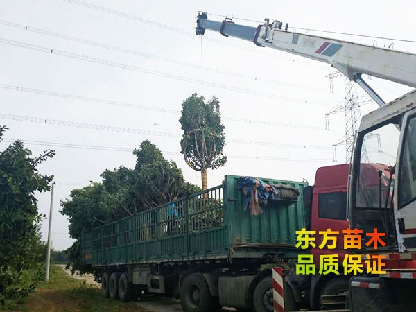 裝車(chē)現(xiàn)場(chǎng)
